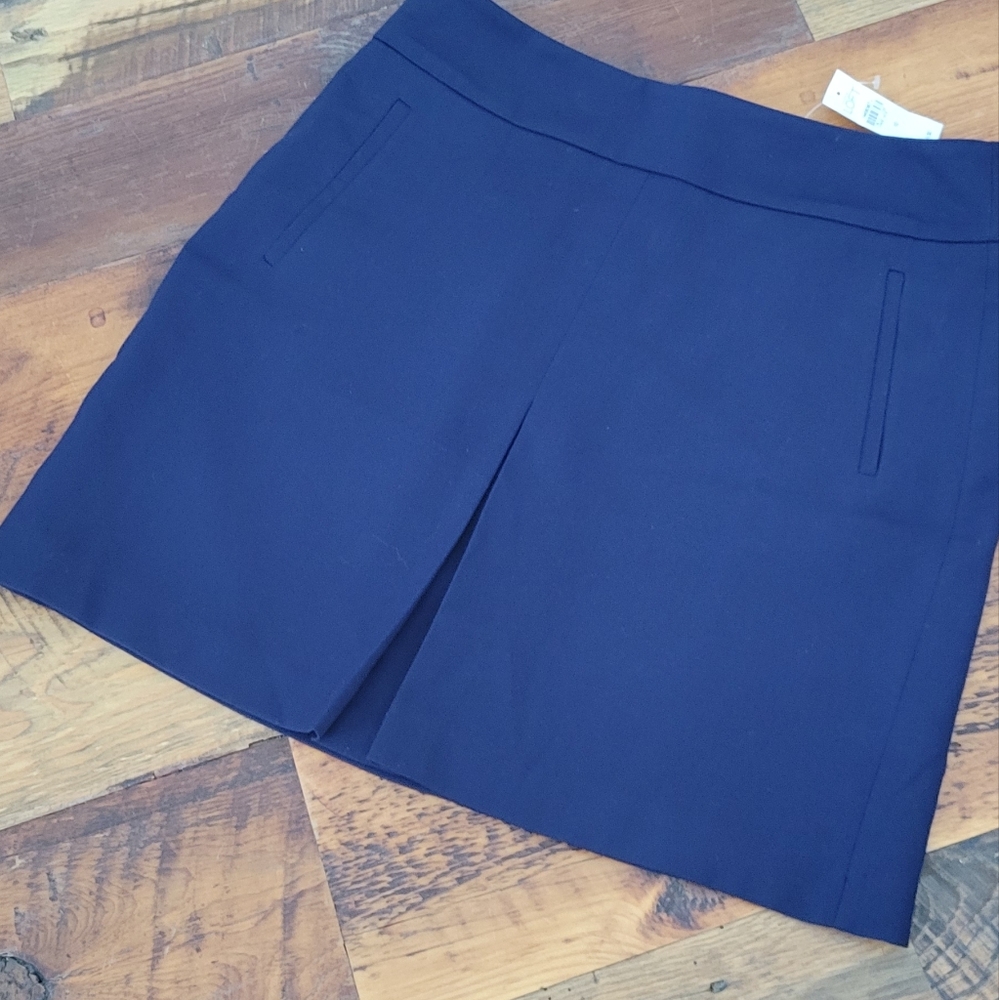 Ann Taylor Loft Skirt, Size 10, NWT